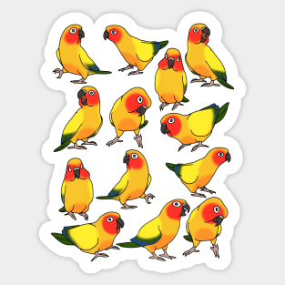 sun conure doodle pattern Sticker